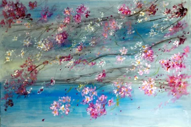 Blühende Kirschblüten Japans