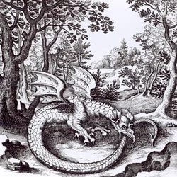 Ein Drache im Wald, aus 
