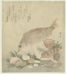 Fische und Muscheln