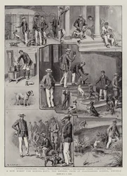 Ein neues Hobby für Schuljungen, der Kennel Club an der Clayesmore School, Enfield