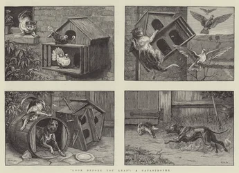 Schau bevor du springst, eine Katastrophe