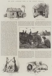 Der südaustralische Hof auf der Kolonialausstellung