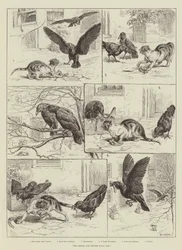 Zwei Köpfe sind besser als einer