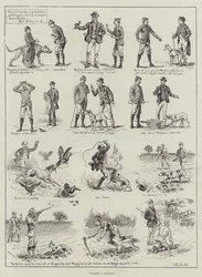 Gesucht, ein Zeigerhund