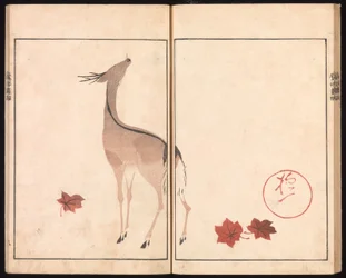 Ōson (Hōitsu) Bilderalbum (Ōson gafu)