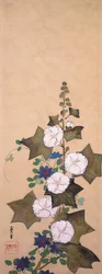 Stockrosen