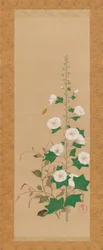 Stockrosen und Prinzenfederblumen