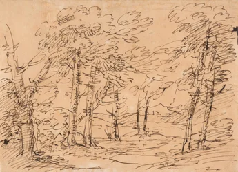 Landschaft mit Bäumen und Bergen im Hintergrund