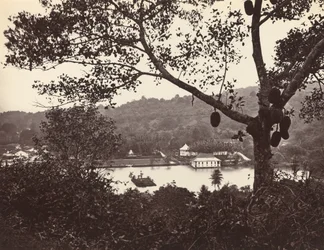 Ein Blick von der Upper Lake Road mit Tempel und Insel im Park - Obstbaum im Vordergrund