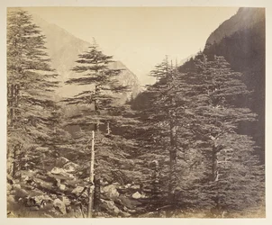 Schneebedeckte Gipfel in der Nähe von Gangootri von Bhairamghati. Fotograf: Bourne, Samuel Album mit Fotografien von Indien, hauptsächlich von Samuel Bourne 1866