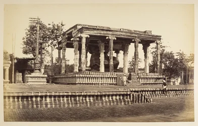 Der große Steinbulle, Tanjore