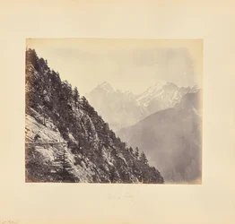 Blick von Rogi