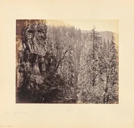 Ansicht im Narkunda-Wald