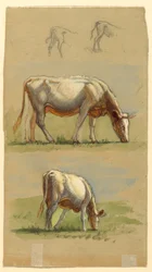 Zeichnung, Vieh, Zwei grasende Kühe und die Rücken von Kälbern, 1875–80