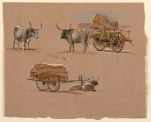 Zeichnung, Ochsenkarren, Rom, Italien, Januar 1873