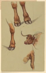 Zeichnung, Skizzen aus Narragansett, Rhode Island, 1871