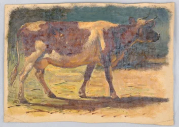Zeichnung, Studien. Kühe, August 1876