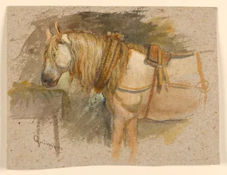 Studie eines Pferdes, Quimper, Bretagne