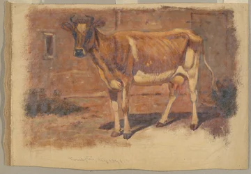Studie einer stehenden Kuh, Farmington