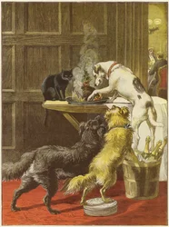 Weihnachtstag, der Ungebetene