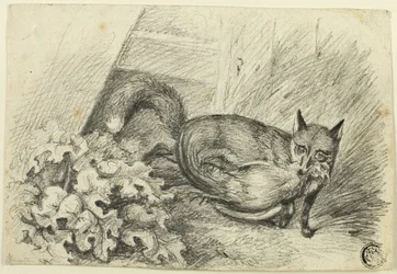 Fuchs stiehlt einen Hahn