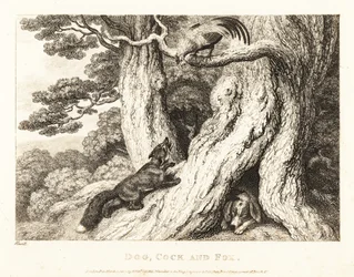 Ein Hahn auf einem Baum überlistet einen Fuchs, während ein Hund schläft. 1811 (Radierung)
