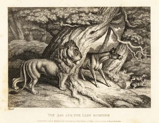 Ein Esel schreit laut bei der Jagd mit einem Löwen. 1811 (Radierung)