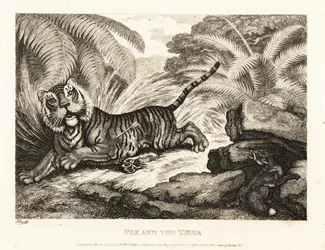 Ein Fuchs beobachtet einen verwundeten Tiger. 1811 (Radierung)