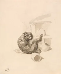 Bär und Bienenstöcke