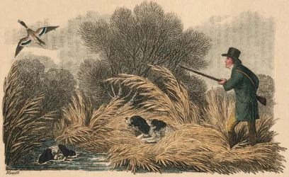 Entenjagd, 1810