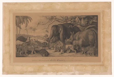 Exotische Tiere aus der königlichen Menagerie am Strand, London