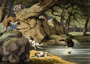 Bärenjagd in Nordamerika, graviert von Matthew Dubourg, veröffentlicht von Edward Orme, 1813