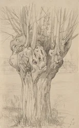 Knotiger Baum, 1884
