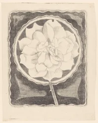Rose (im Kreis, mit gewelltem Rand)