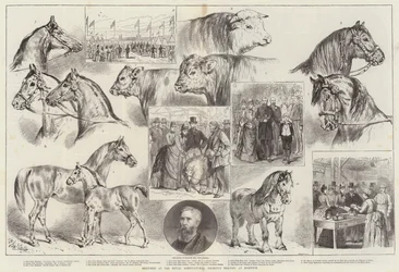 Skizzen bei der Versammlung der Royal Agricultural Society in Norwich