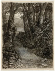 Eine Waldstudie