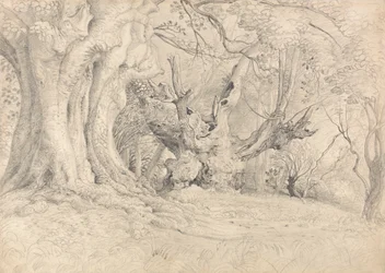 Alte Bäume, Lullingstone Park