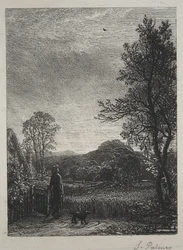 Die Feldlerche
