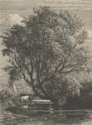 Die Weide, 1850