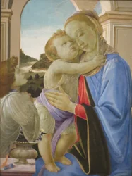 Botticelli Norton 115