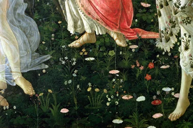 Primavera: Detail der Blumen