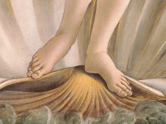 Die Geburt der Venus