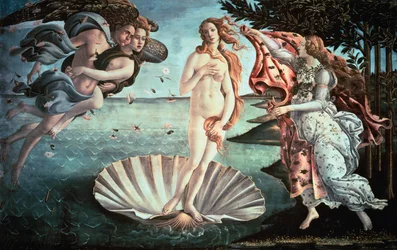 Die Geburt der Venus, um 1482
