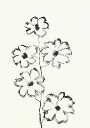 Kohlezeichnung einer Blume