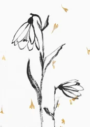 Zarte florale Skizze