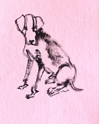 Tuschezeichnung eines Hundes