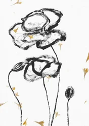 Minimalistische Mohnblumen in Kohle