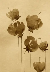 Blumen in Sepia-Aquarell