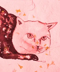 Gelassene rosa Katze