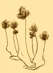 Verspielte Fußblumen